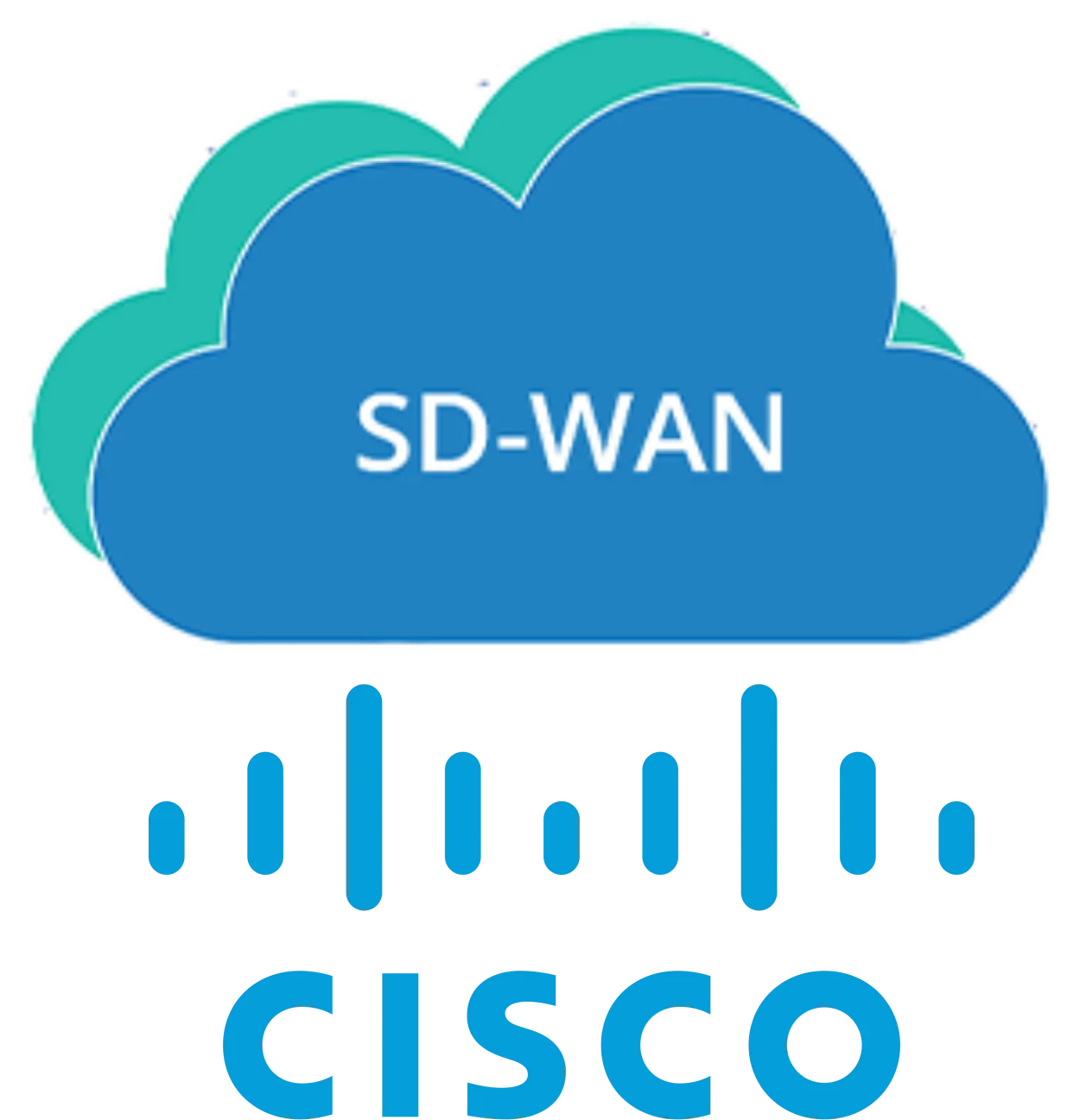 Network ve Ağ Çözümleri