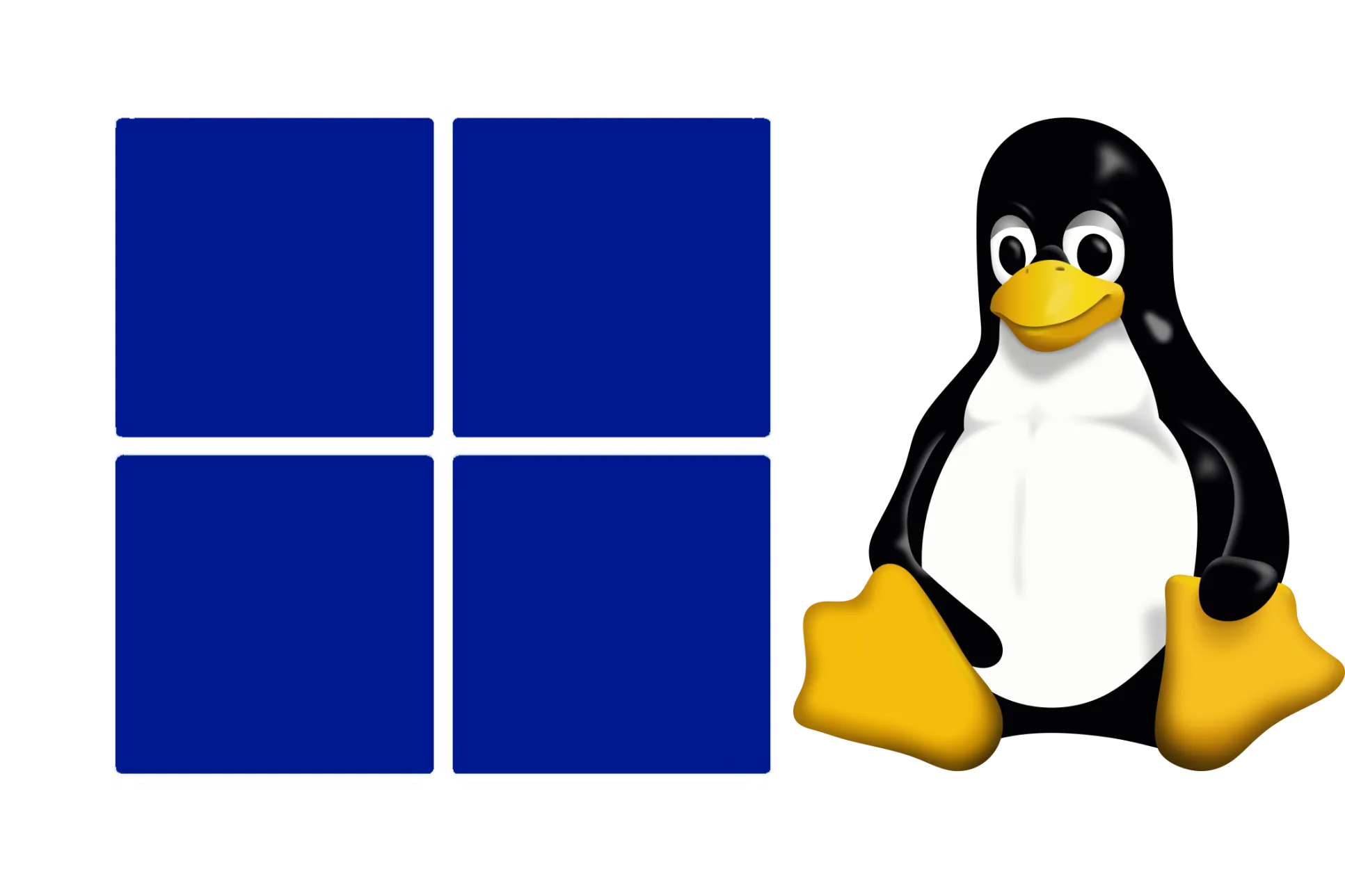 Sunucu Kurulumu ve Yönetimi